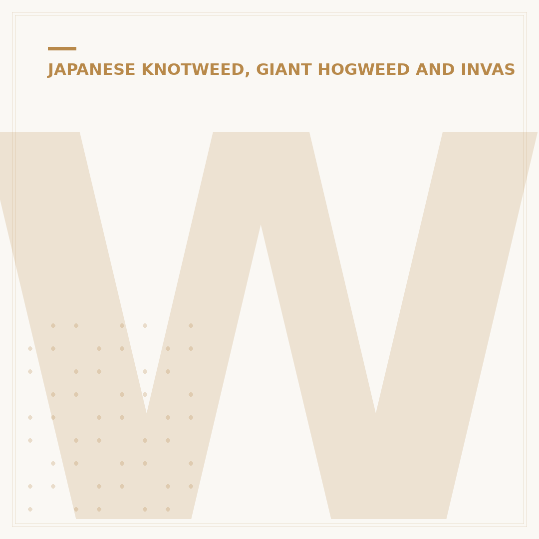 What Does Japanese Knotweed Look Like?