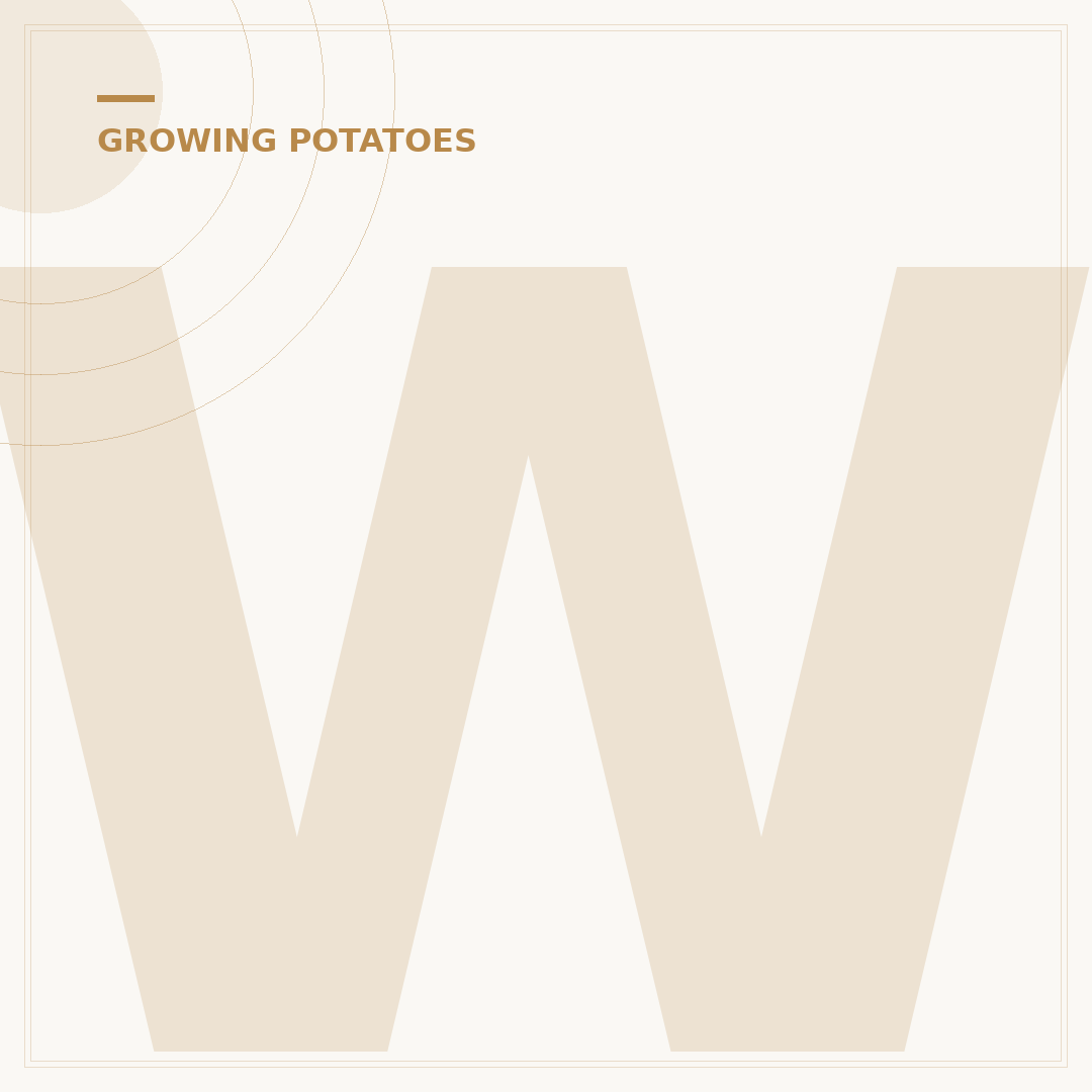 What Do Potato Plants Look Like?