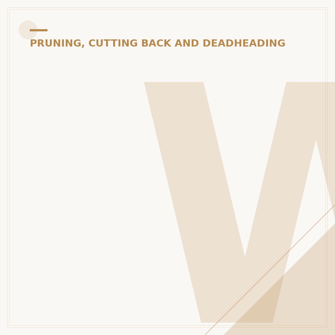 What Does Pruning Mean for Plants & Gardens?