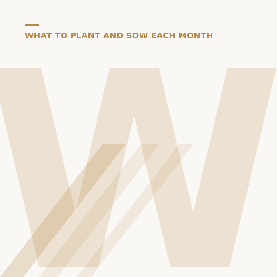 What Seeds to Plant Now