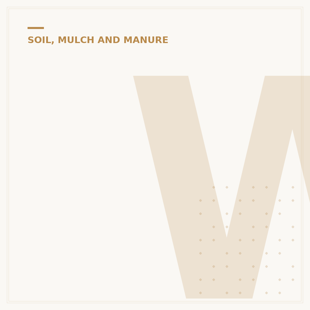 What is the Soil Conservation Service?