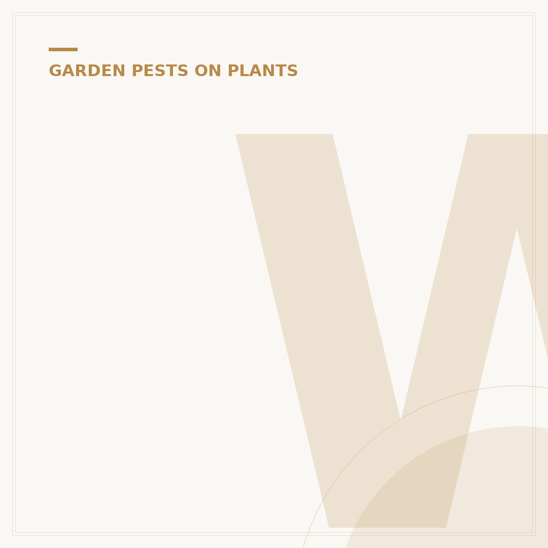 What Do Spider Mites Look Like on Plants?