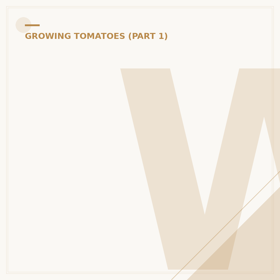 When Do Tomatoes Grow? A Gardener's Timeline