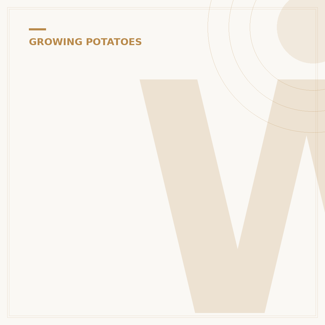 When to Plant 2nd Early Potatoes
