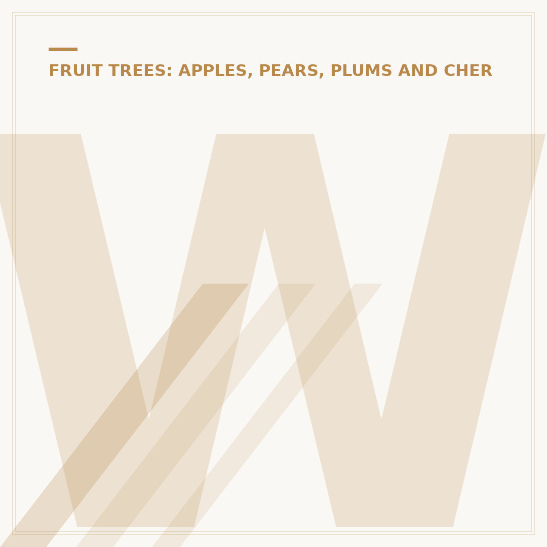 When to Plant Cherry Trees