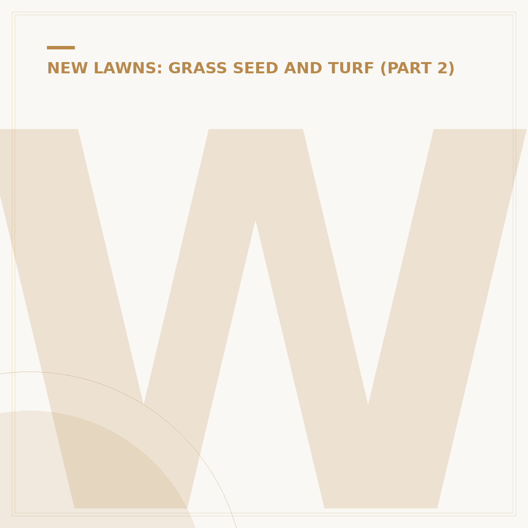 When Can You Plant Grass Seed in the UK?