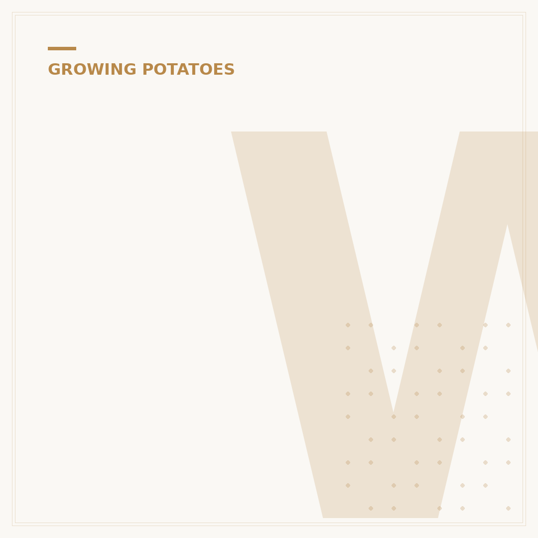 When to Plant Main Crop Potatoes