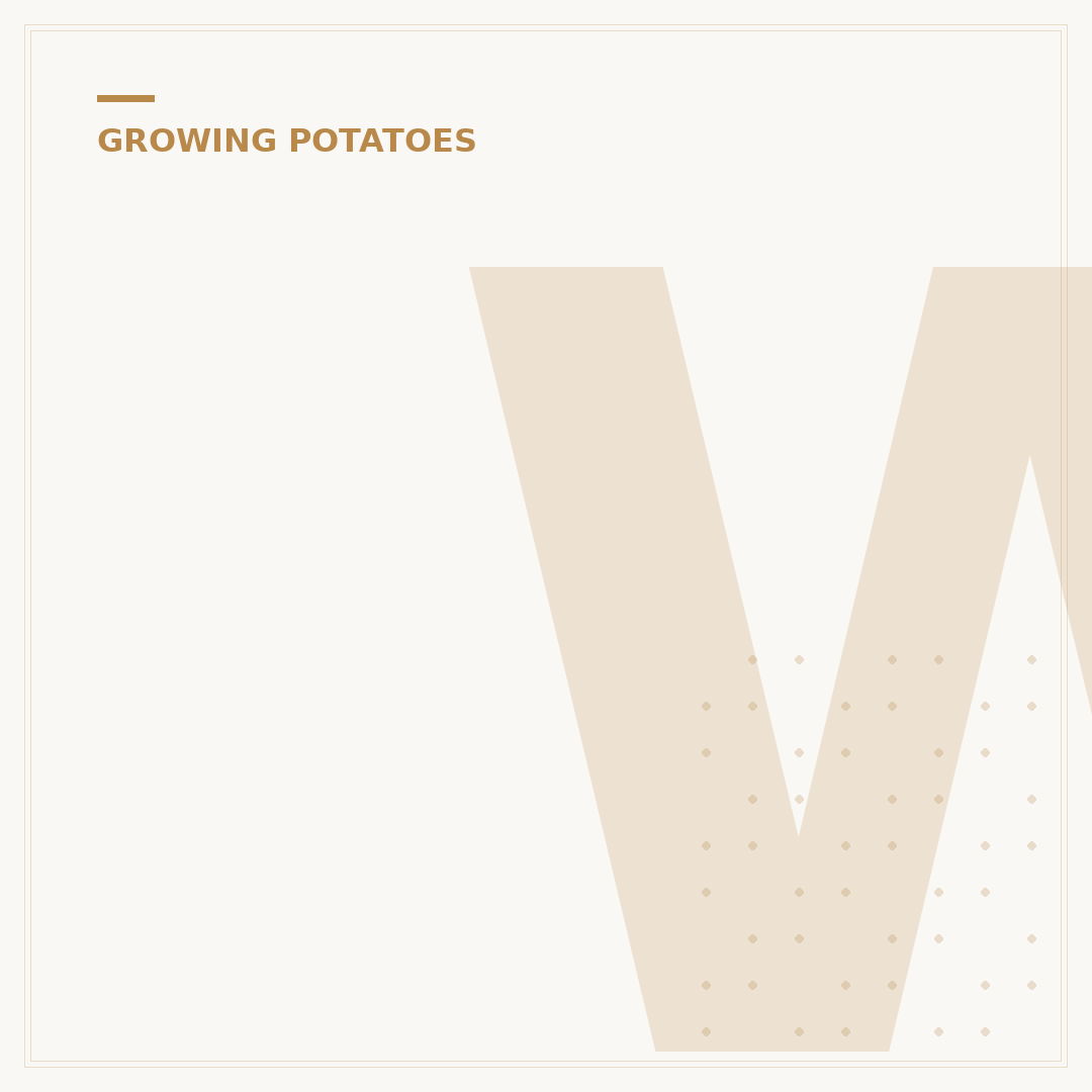 When to Plant New Potatoes: Timing & Tips
