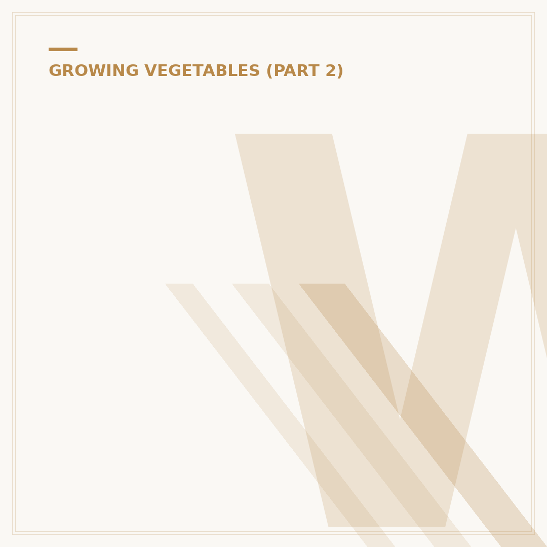 When to Plant Pumpkin Seedlings: Timing Your Grow