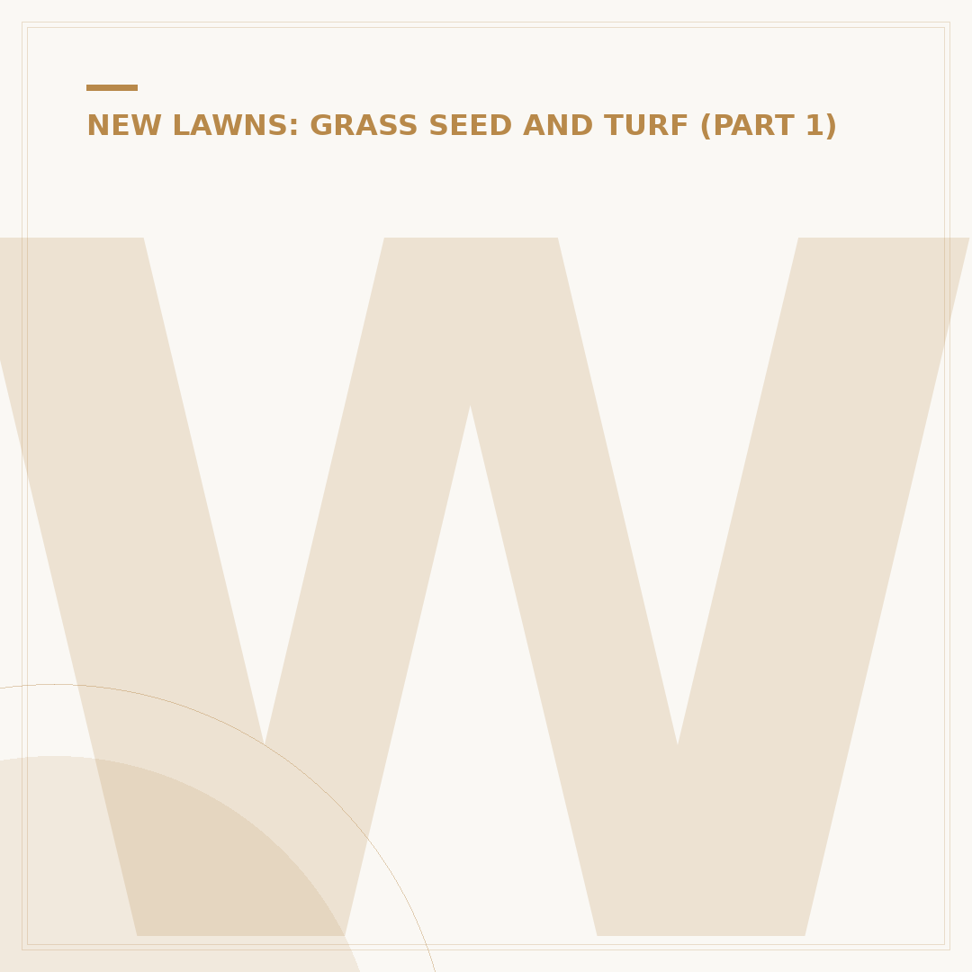 When to Sow Grass Seed: Optimal Times for Lawn Health