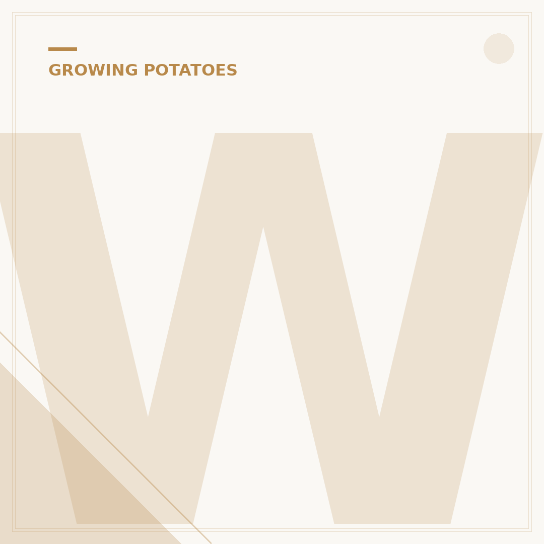 When to Plant Potatoes: Timing for a Bountiful Harvest