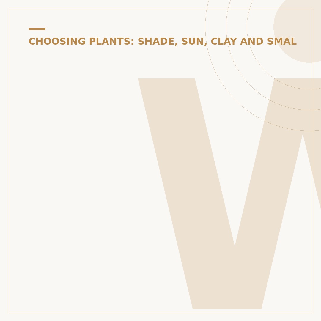 When to Plant Wild Flowers