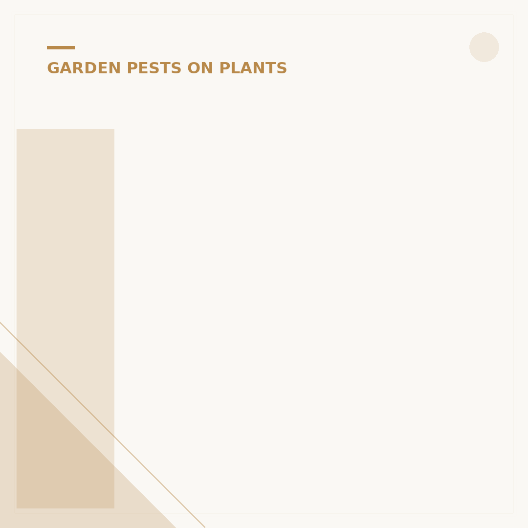 Identify and Control White Aphids on Plants