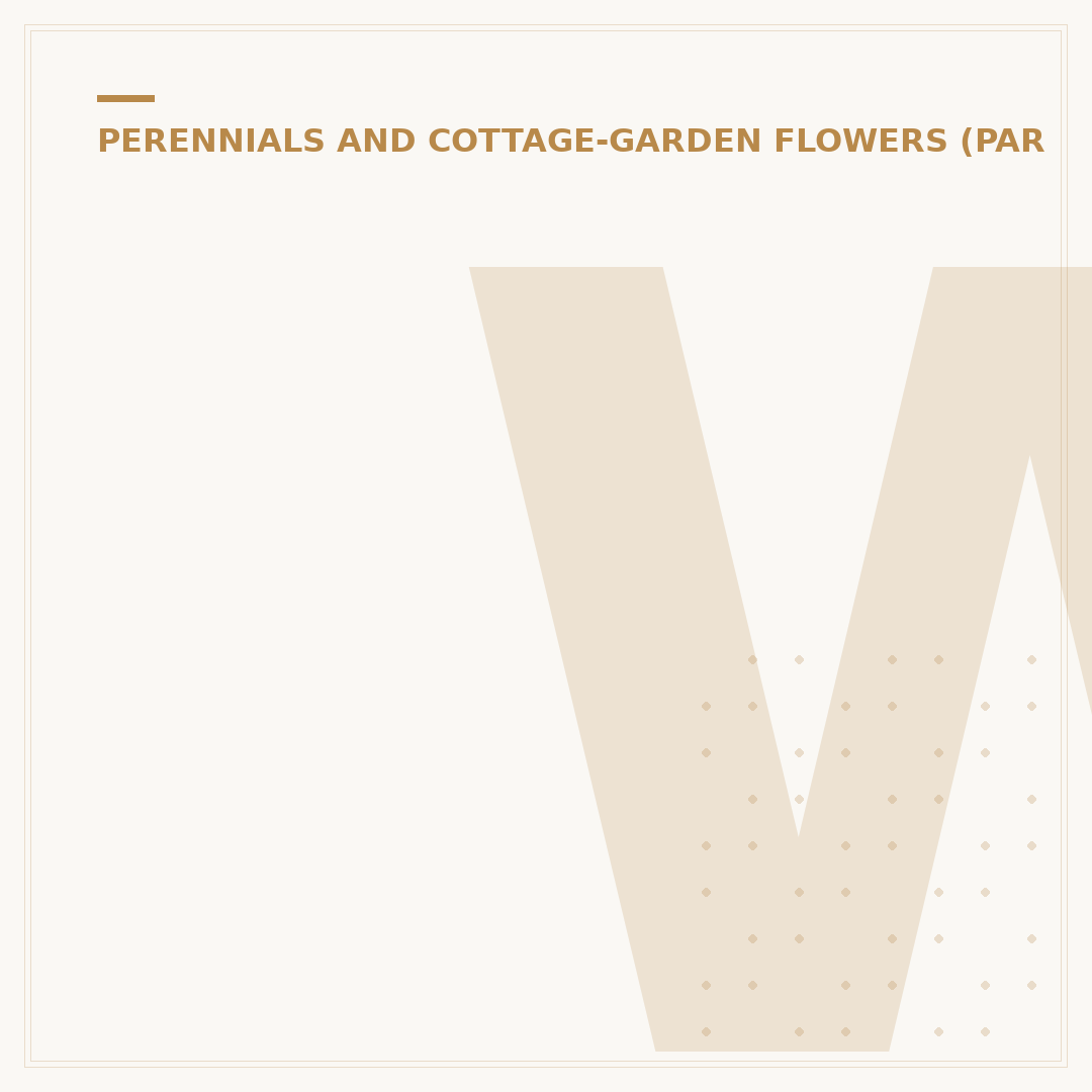 White Chrysanthemums
