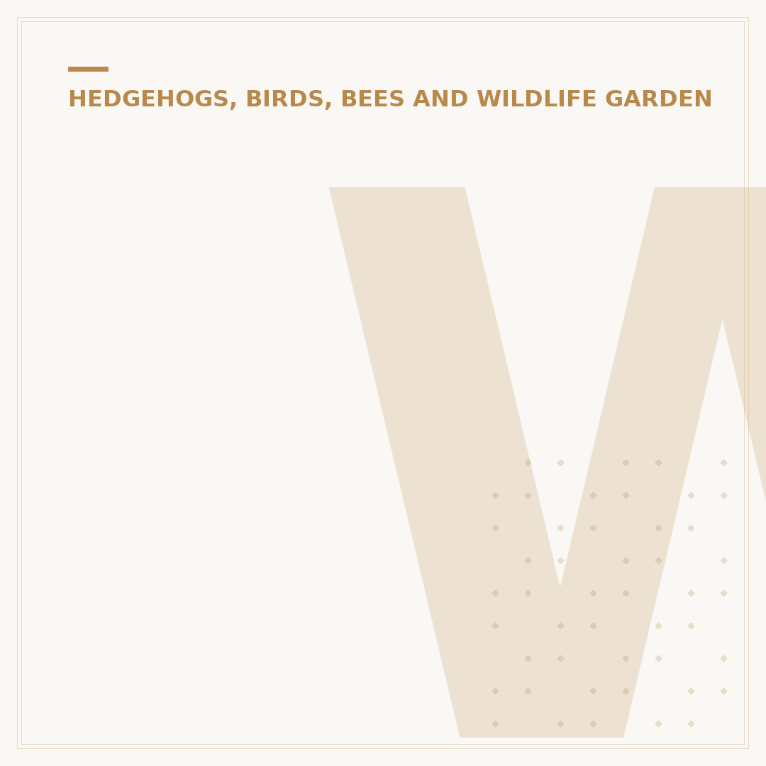 Wildflower Seeds for a Vibrant British Garden