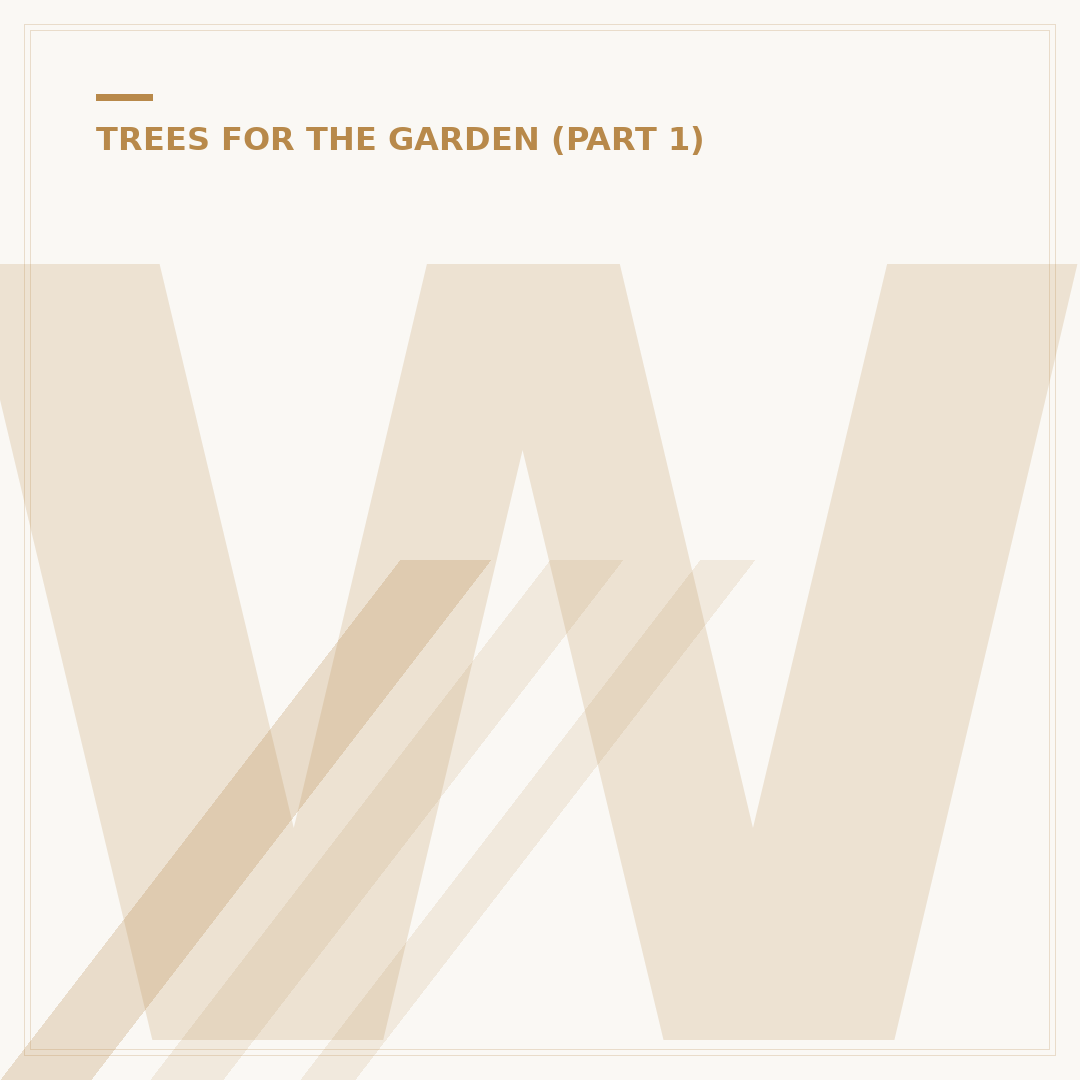 Willow Tree Varieties