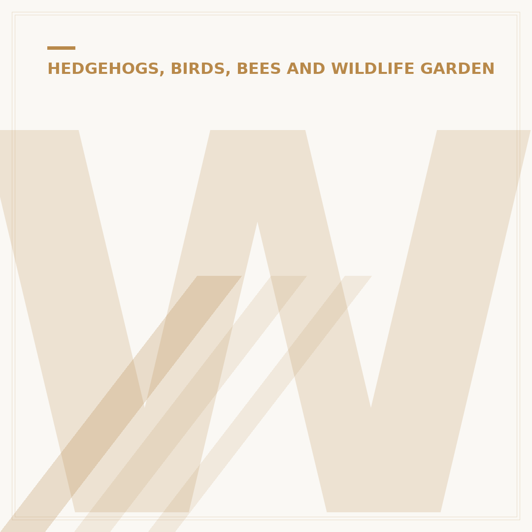 Window Bird Feeders: Attract Garden Birds Safely