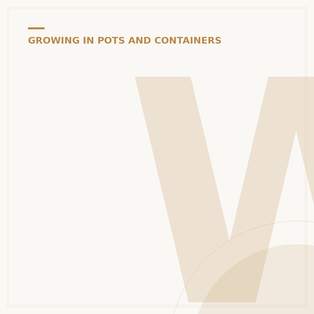 Window Box Plants: Choosing and Growing for Impact