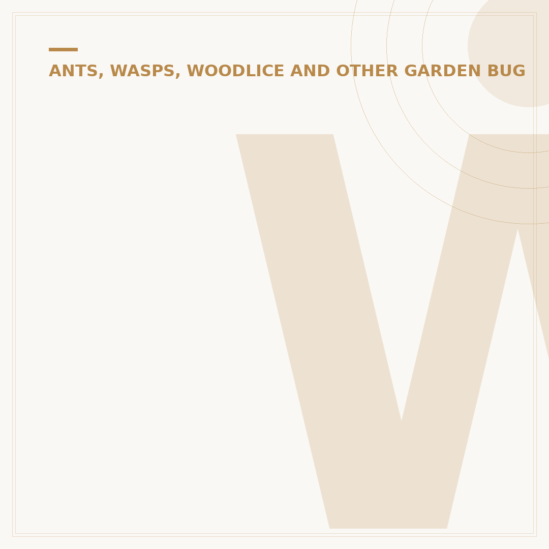 Why Do I Have Woodlice in My House?