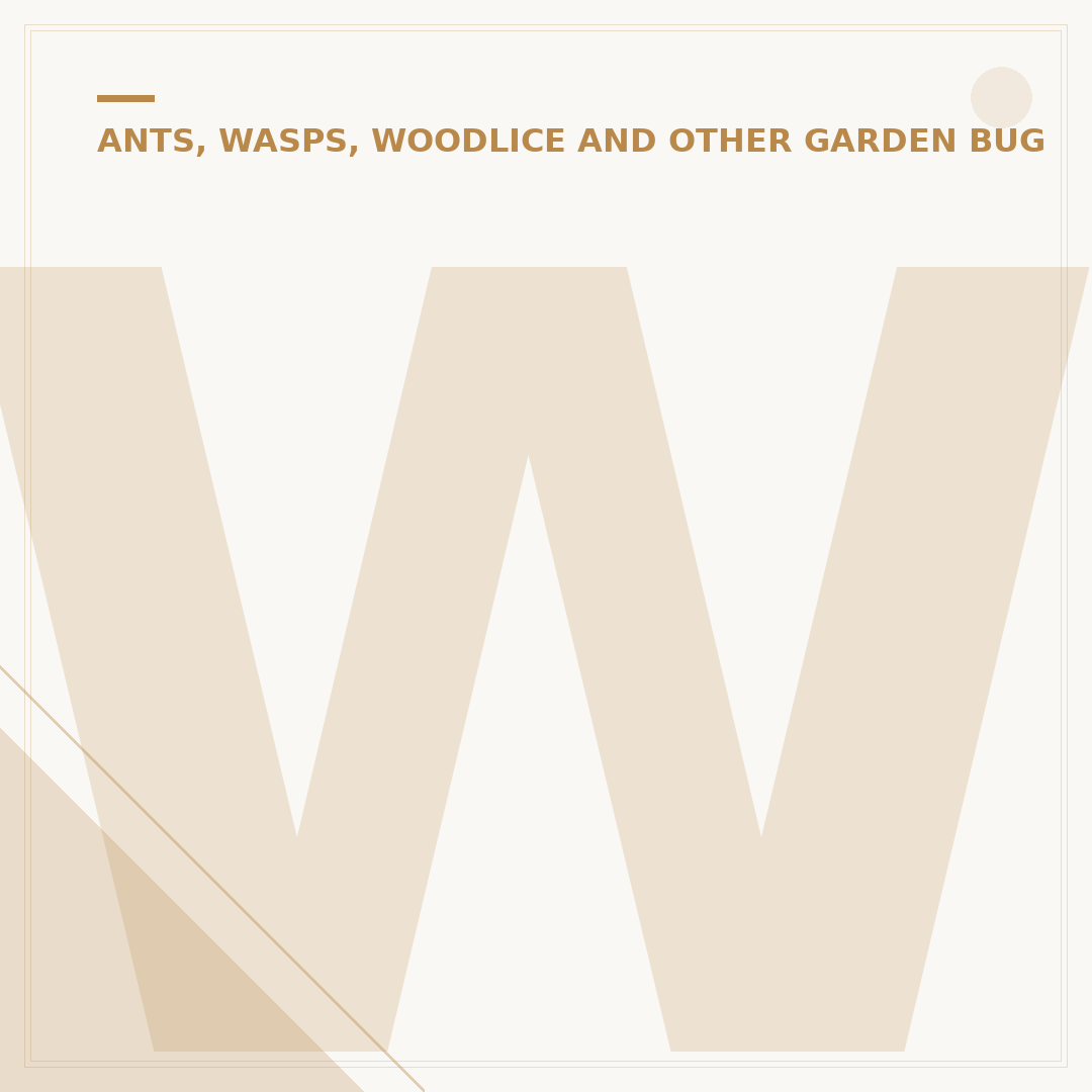 Woodlice Infestation in House: Identify and Manage
