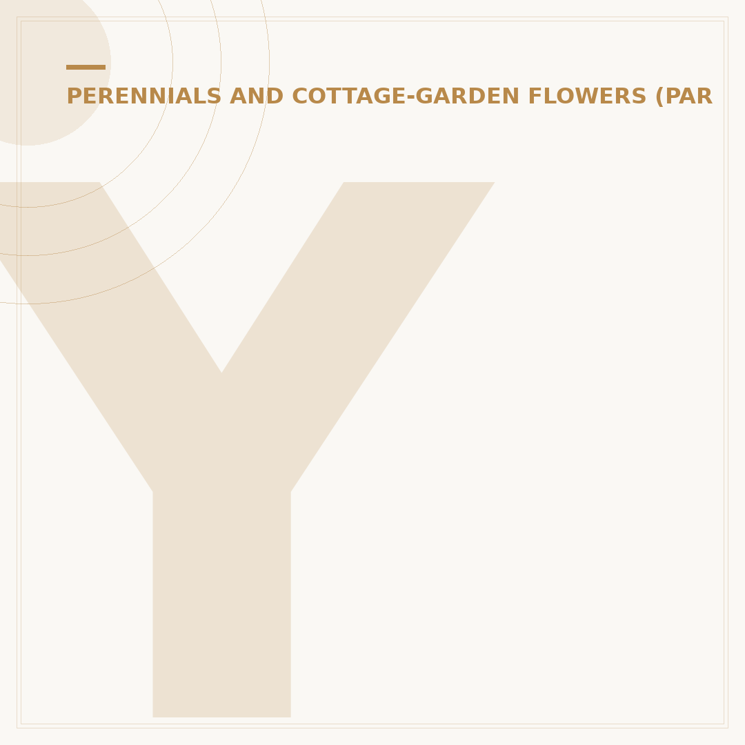 Yellow Chrysanthemums