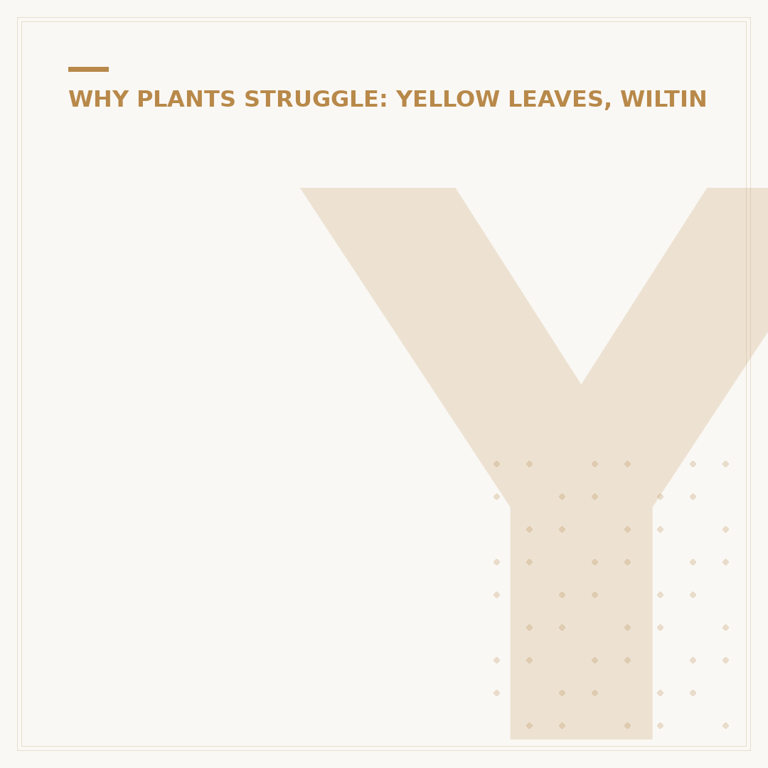 Yellow Leaves on Tomato Plants
