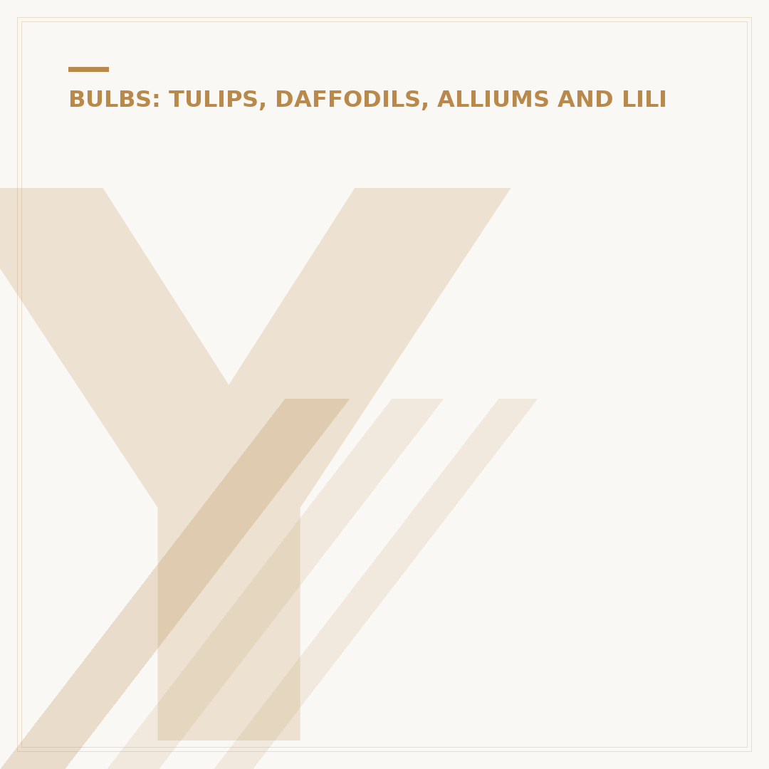 Yellow Lilies Flowers: Varieties, Care, and Symbolism