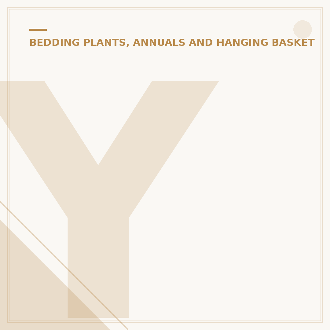 Yellow Marigold Plant: Growing and Care