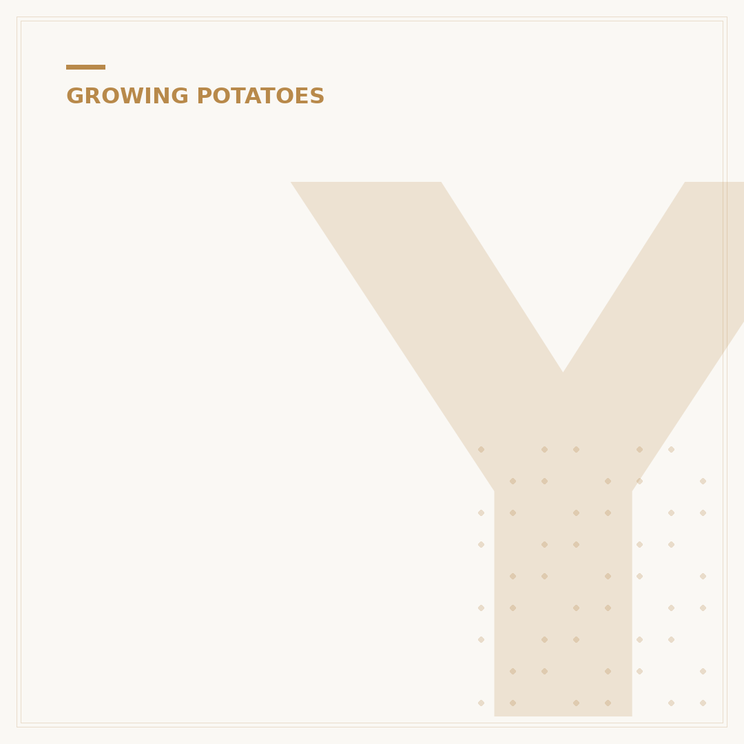 Yellow Potato Leaves: What They Mean for Your Crop