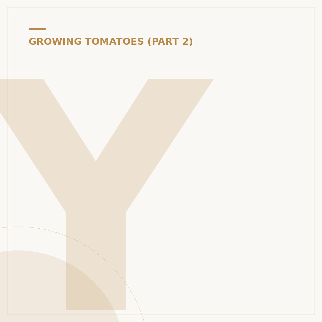 Yellow Spots on Tomato Plant Leaves: Causes & Solutions