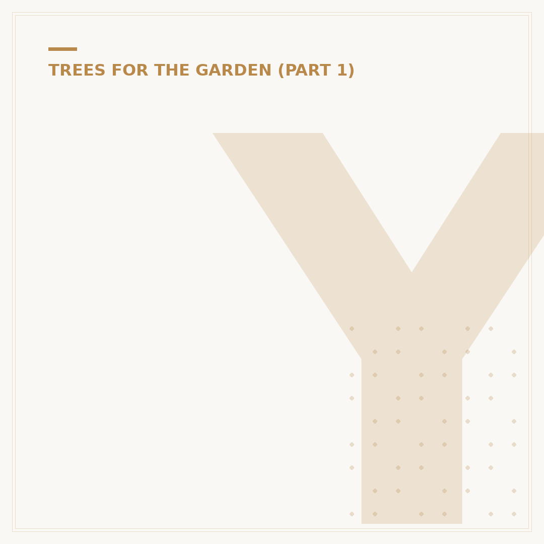 Yew as a Hedge