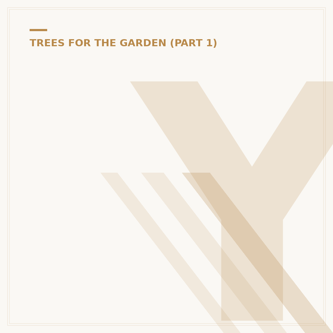 Yew Hedges: Planting, Care and Alternatives
