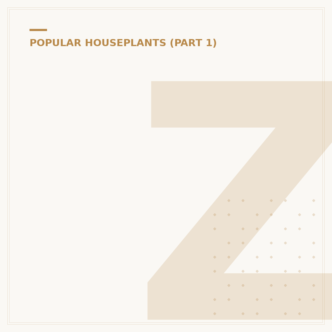 ZZ Plant Care: Troubleshooting Common Issues