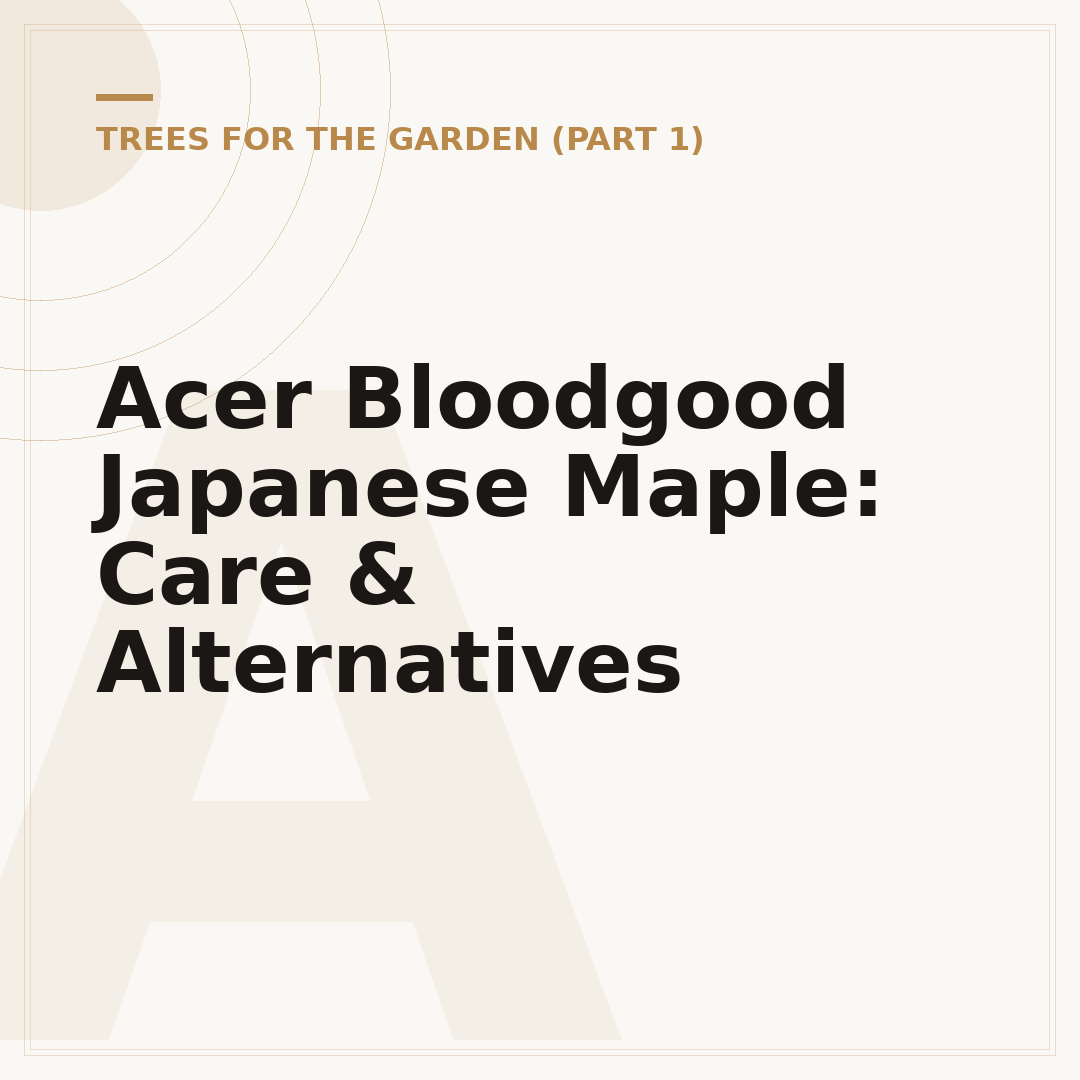 Acer Bloodgood Japanese Maple: Care & Alternatives