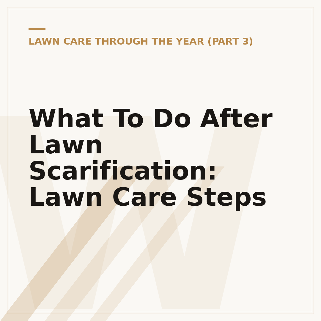 What To Do After Lawn Scarification: Lawn Care Steps