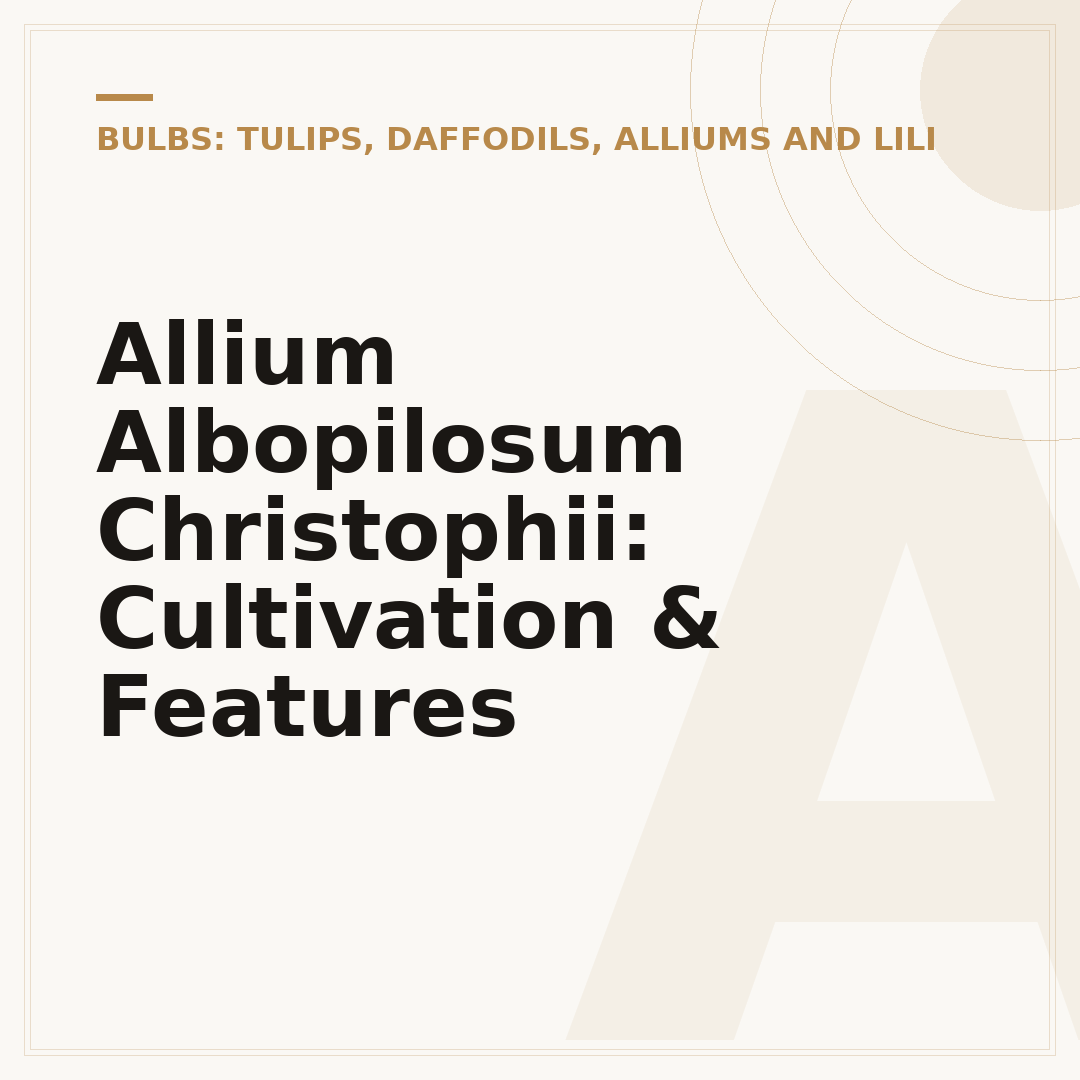 Allium Albopilosum Christophii: Cultivation & Features