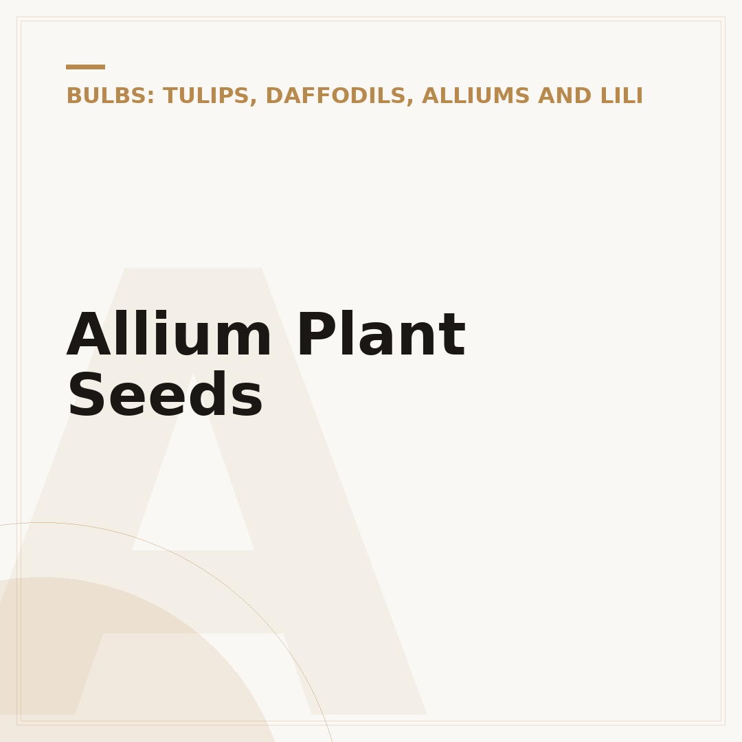 Allium Plant Seeds