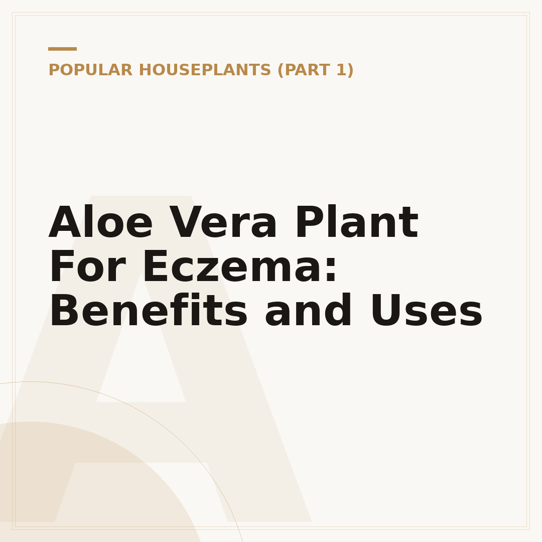 Aloe Vera Plant For Eczema: Benefits and Uses