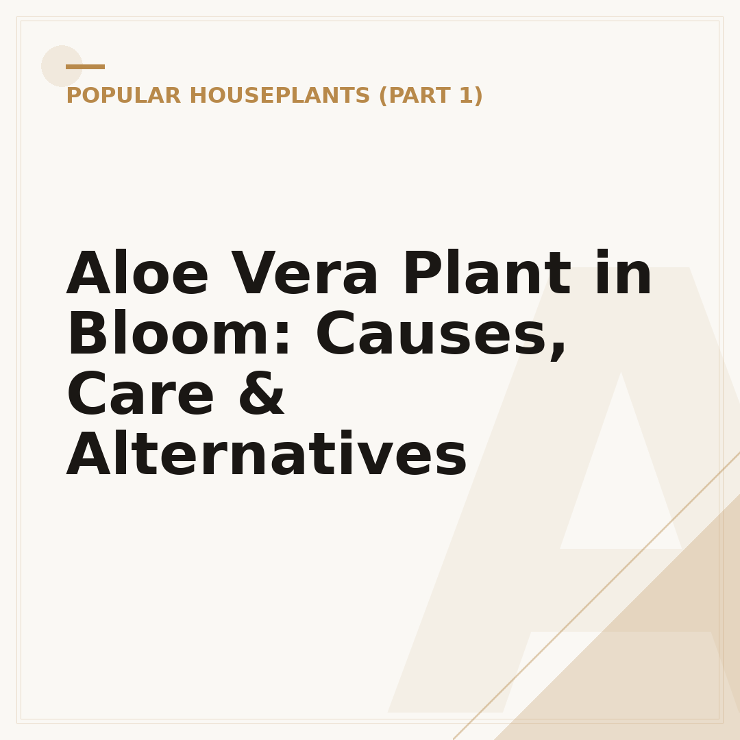 Aloe Vera Plant in Bloom: Causes, Care & Alternatives