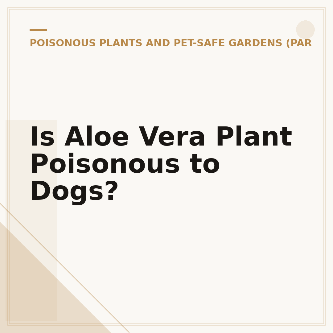 Is Aloe Vera Plant Poisonous to Dogs?