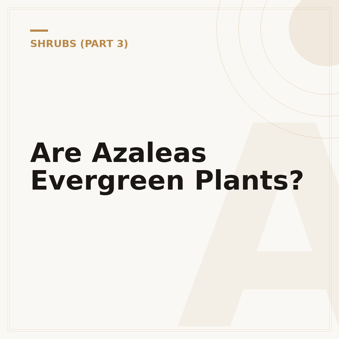 Are Azaleas Evergreen Plants?