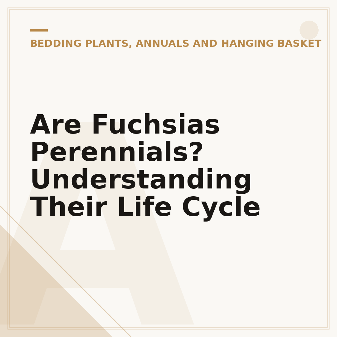 Are Fuchsias Perennials? Understanding Their Life Cycle
