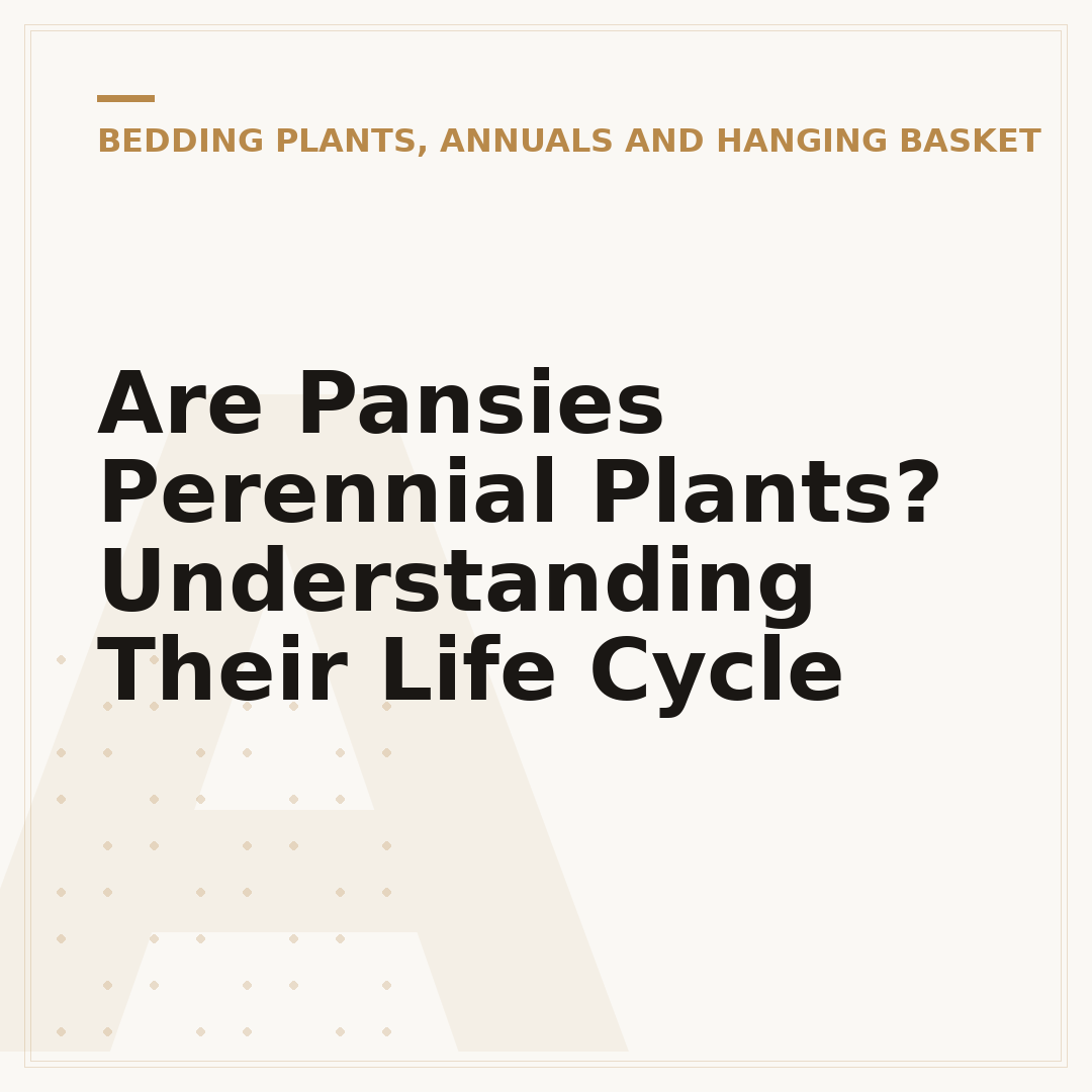 Are Pansies Perennial Plants? Understanding Their Life Cycle