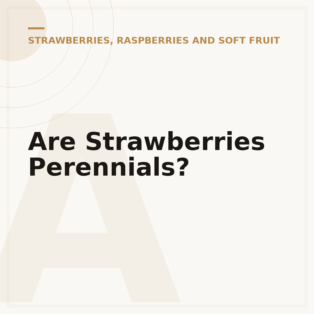 Are Strawberries Perennials?