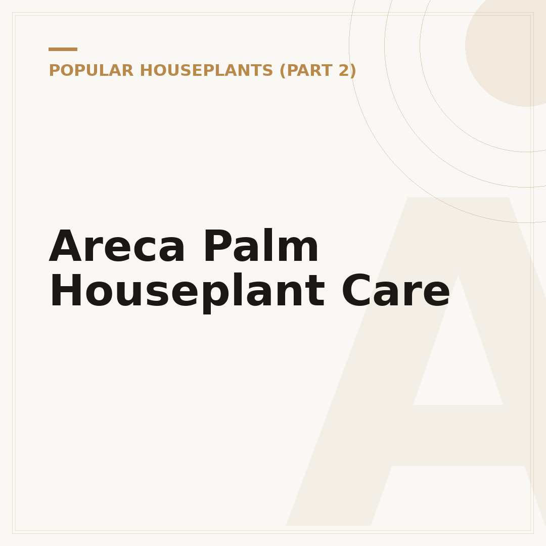 Areca Palm Houseplant Care