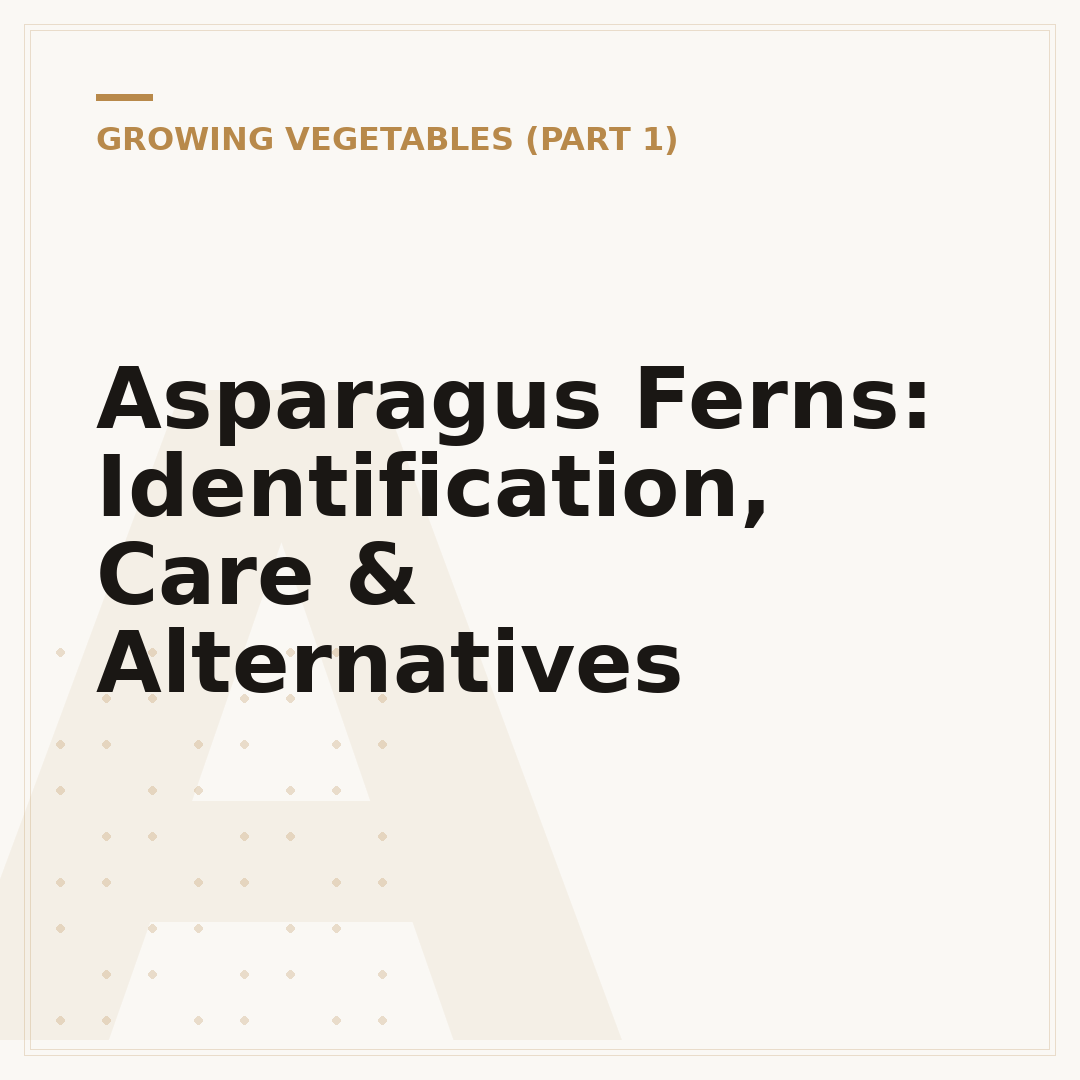 Asparagus Ferns: Identification, Care & Alternatives