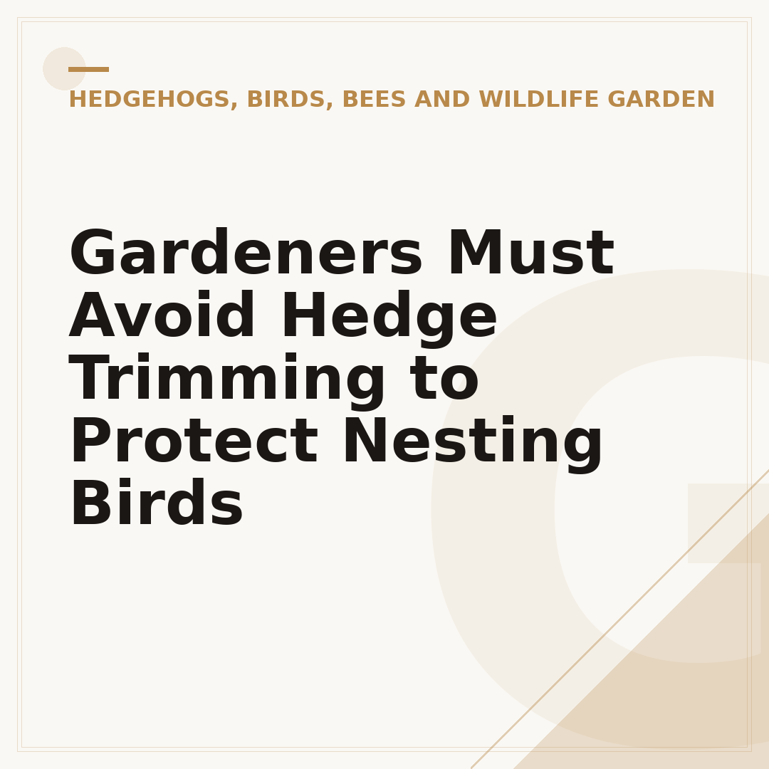 Gardeners Must Avoid Hedge Trimming to Protect Nesting Birds