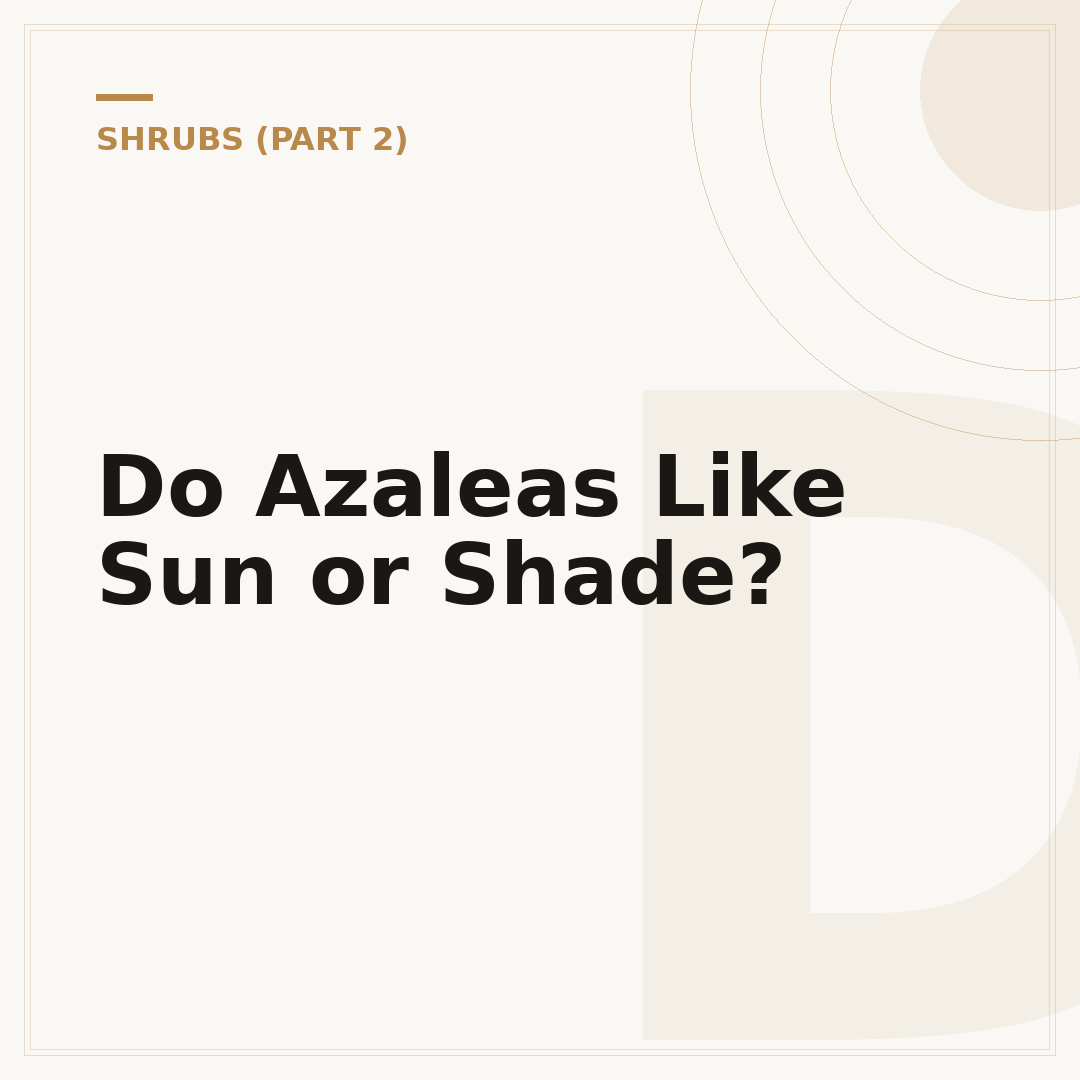 Do Azaleas Like Sun or Shade?