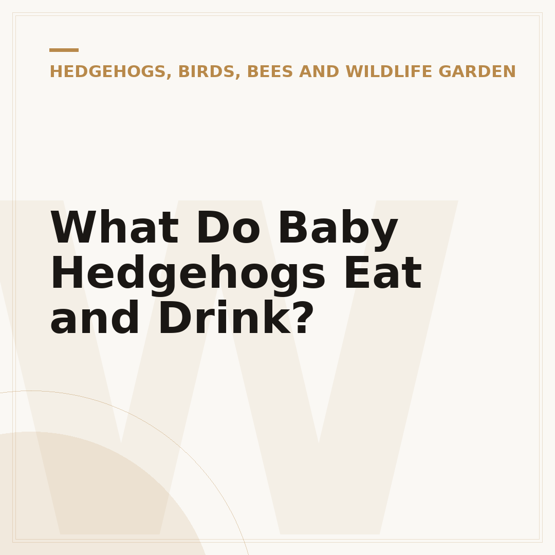 What Do Baby Hedgehogs Eat and Drink?