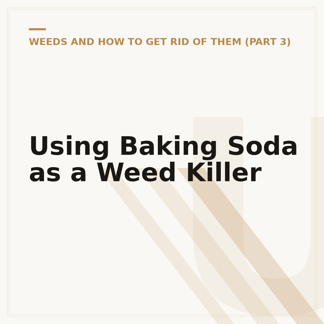 Using Baking Soda as a Weed Killer